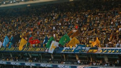 grow your online following