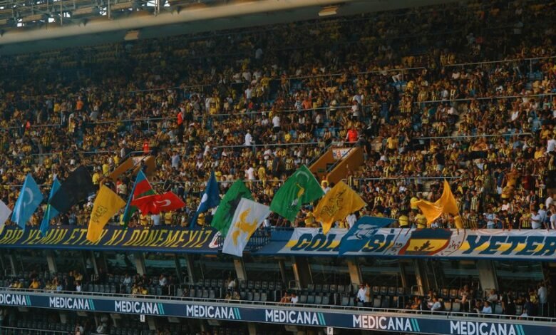 grow your online following