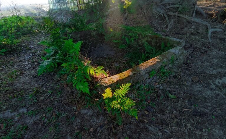 instagram for business growth