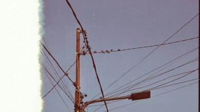 support line available today