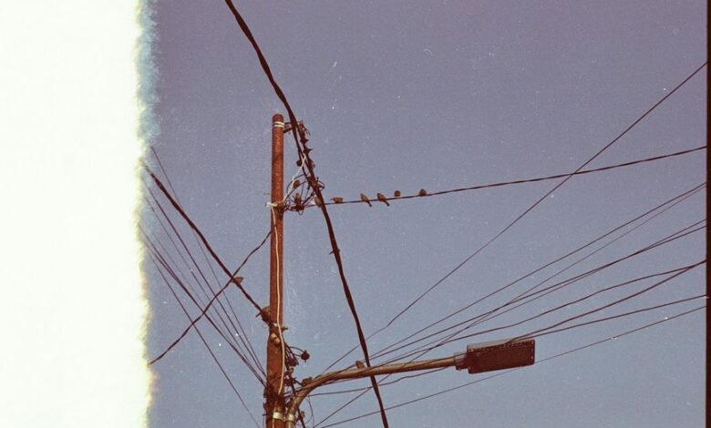 support line available today