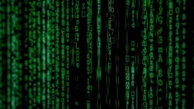 phone number analysis report