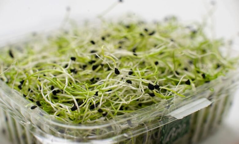 market growth performance metrics