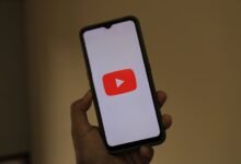 overview of xxvideo worth