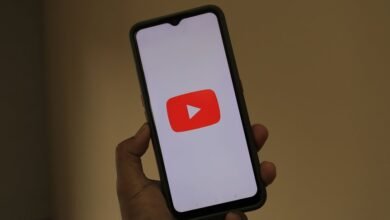 overview of xxvideo worth